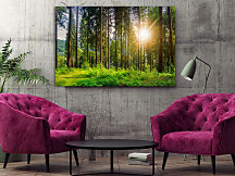 Obraz Prechádzka lesom